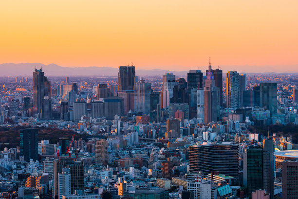 黄昏时分东京市中心的全景图片下载