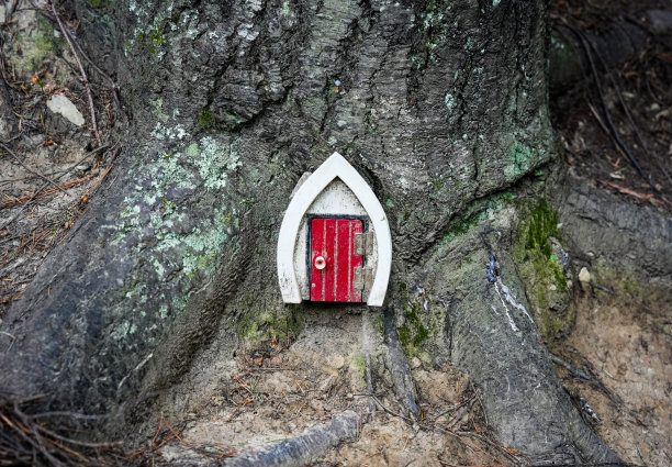 有红门的小仙女森林房子图片下载