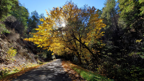 秋天的山路图片下载