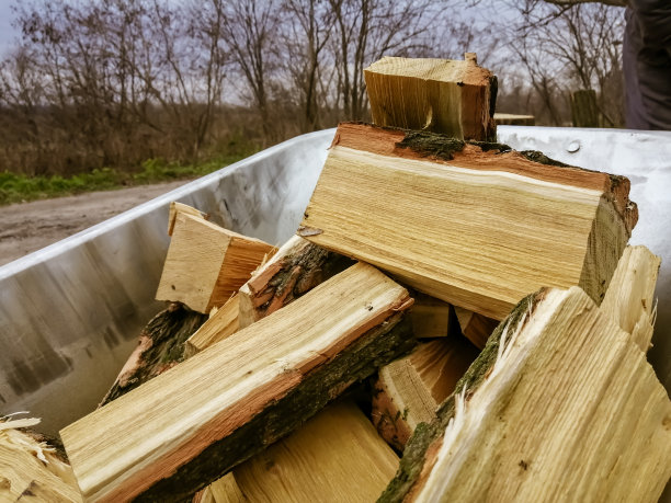 在田野的背景下用手推车砍木头。装载切碎的柴火。家里用手推车烧火用的柴火。带柴火的花园手推车。图片下载