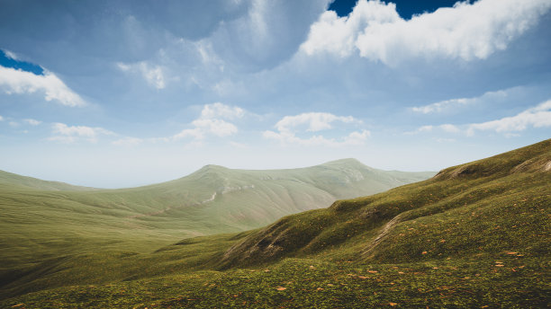 阐述景观可持续发展目标，保护生态系统。一个绿色岛屿的自然环境，没有树木3D渲染图片下载