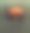 玻璃花瓶里的橘子果的静物照片图片下载