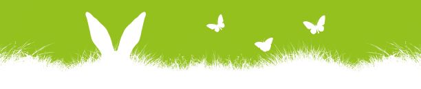 三维渲染的白色兔子耳朵和蝴蝶隐藏在白色的草在绿色背景图片下载