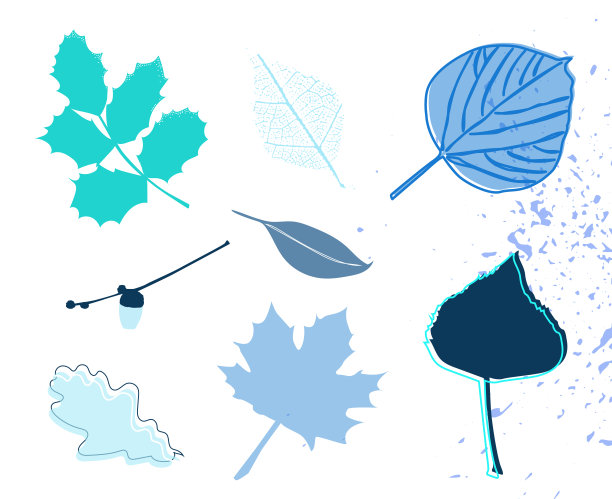 树叶冬季系列设置不同形状的蓝色深浅。大自然剪影霜雪冬季寒冷圣诞标签图片下载