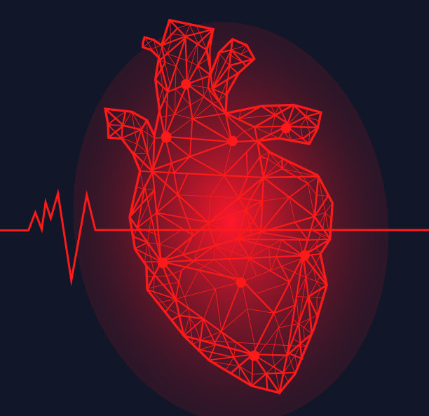 解剖人类心脏，有疼痛区。心血管系统器官现代三维体积图像图片下载
