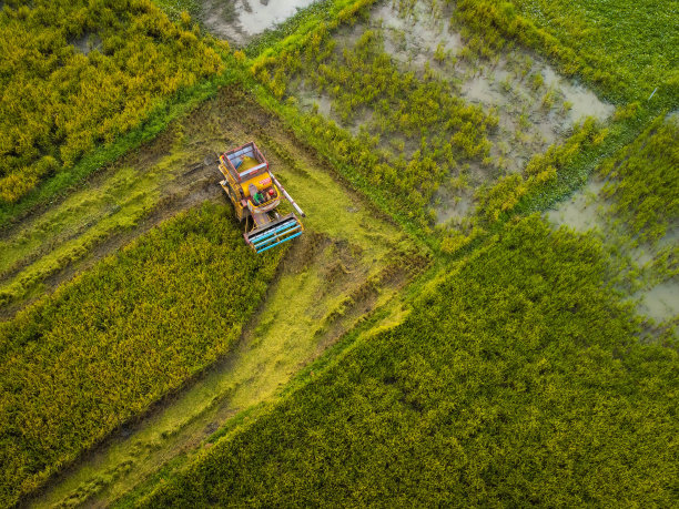 联合收割机与稻田的鸟瞰图。泰国，收割水稻的收割机。收获季节结束后，无人机在一大片稻田的稻草工人上空飞行。图片下载