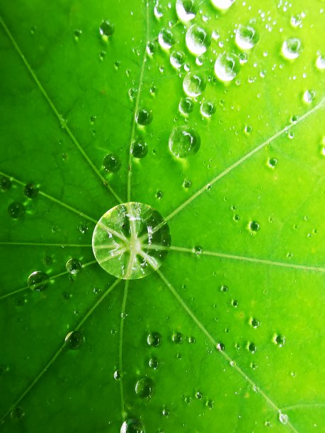 放大水图片下载