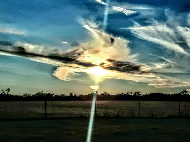 太阳的狗图片下载