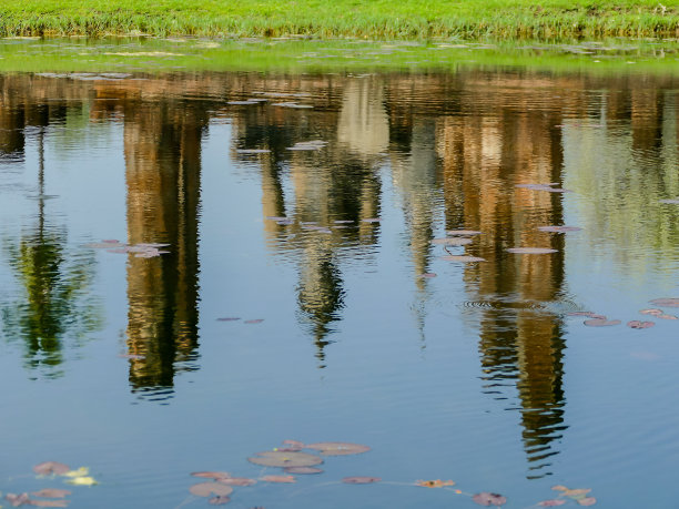 湖中树木的倒影，数码照片图片为背景图片下载