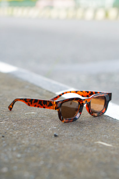 乌贼太阳镜图片下载