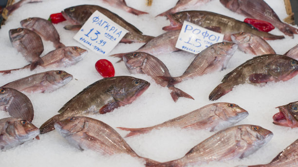雅典海鲜市场图片下载