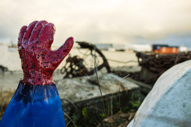 挪威北部的一个小港口村庄图片下载