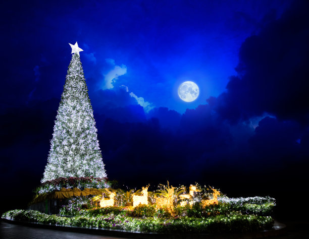 闪亮的户外圣诞树图片下载