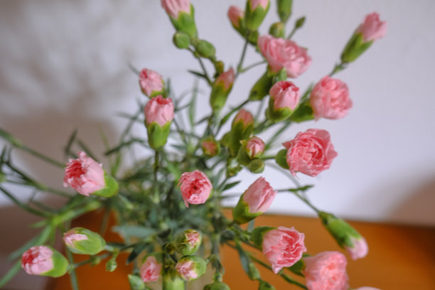 花瓶上插着一束粉红色的康乃馨，俯瞰着白色的墙壁和木制的抽屉。副本的空间。家居装饰图片下载