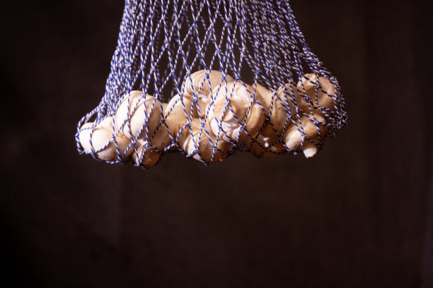 照片串袋新鲜蔬菜-可重复使用的生态购物袋植物食品-生素食香菇在一个黑暗的背景图片下载