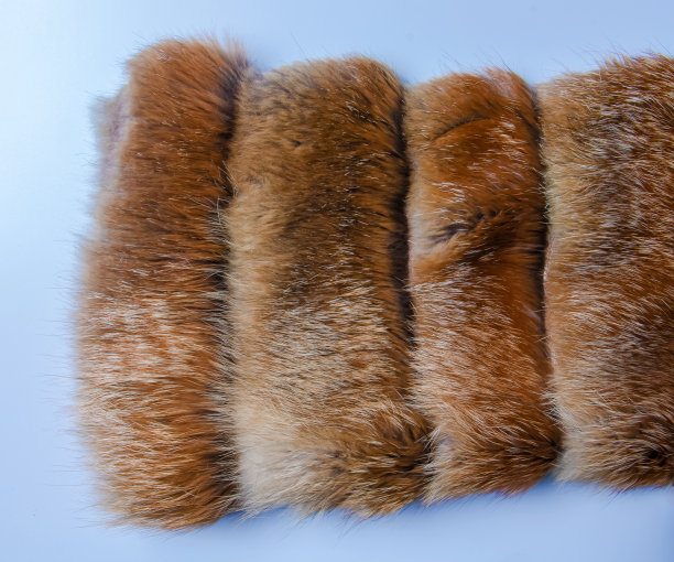 狐狸皮毛的近景。红毛动物皮毛背景，毛堆纹理。图片下载