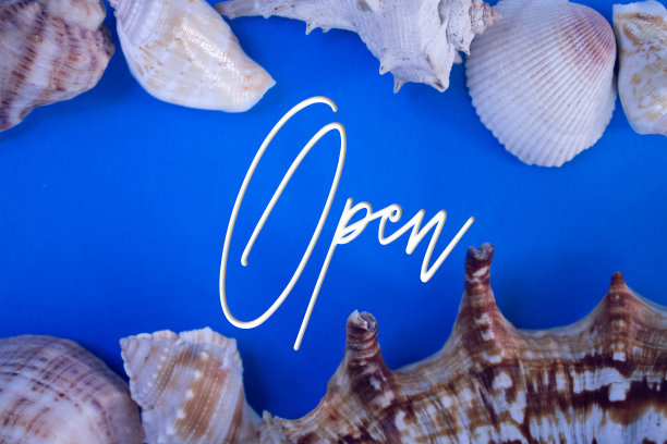 动物壳，暑假，海洋背景与开放文本。图片下载