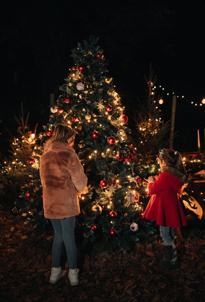 孩子们在欣赏他们的圣诞树图片下载