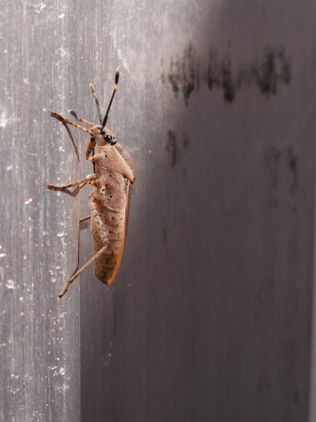 攀登错误图片下载