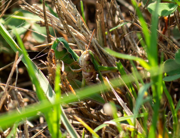 妈妈辛苦工作图片下载