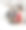 厨房里的情侣图片下载
