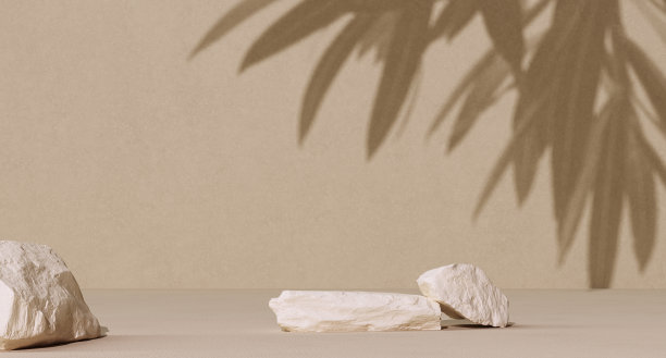 化妆品美容产品介绍与橄榄树枝叶植物和白色石板平台对象放置三维渲染图片下载