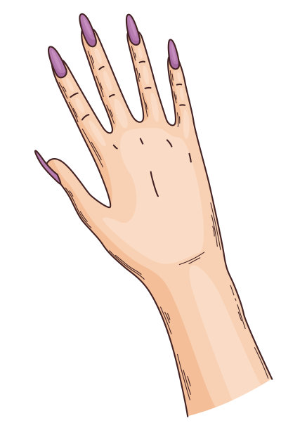 修指甲。女性的手。元素为美容院的横幅或名片，白色背景上孤立的美甲师图片下载