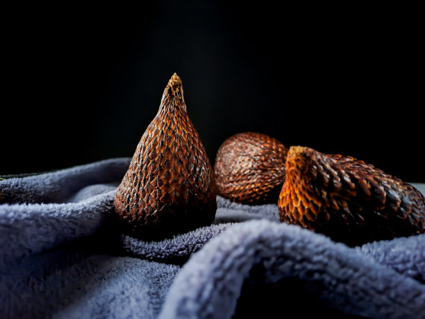 萨拉克是一种常见的棕榈果。蛇果，它的学名是萨拉卡扎拉卡。黑色毛巾背景。图片下载