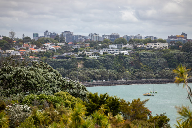 新西兰奥克兰的CBD图片下载