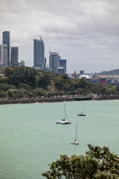 新西兰奥克兰的CBD图片下载