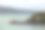 新西兰奥克兰的Rangitoto岛和Waitemata港图片下载