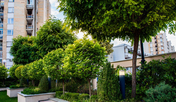 绿色屋顶图片下载