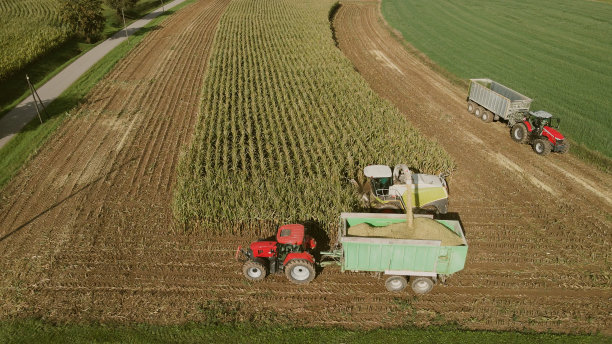 联合收割机收集玉米地的收成图片下载