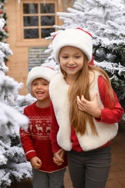 孩子们在商店挑选圣诞树图片下载