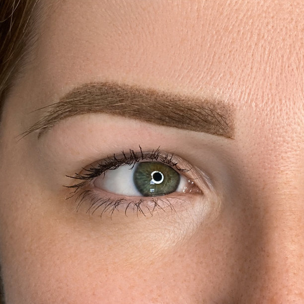 女人美丽的眉毛合上，自然的妆容和永久的纹身图片下载