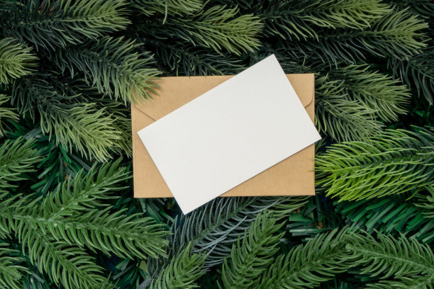 圣诞树树枝和圣诞贺卡。圣诞概念，自然，冬天。明信片的背景。平铺，俯视图图片下载