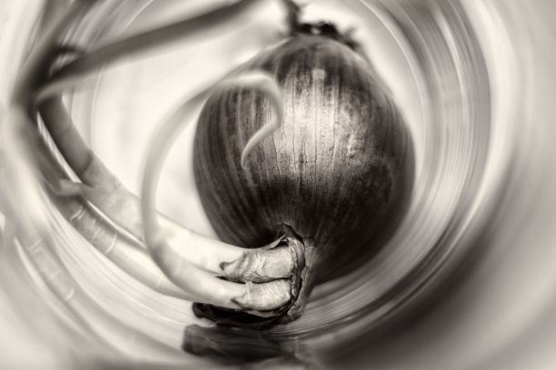 一个洋葱的特写灰度镜头图片下载