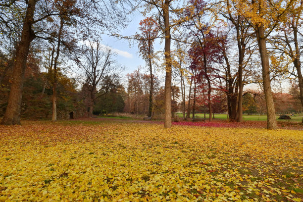 皇家别墅公园图片下载