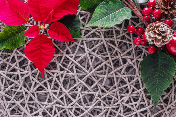节日卡片-红色的一品红花，冷杉圆锥，圣诞装饰柳条稻草灰色背景。平铺，俯视图，复制空间图片下载