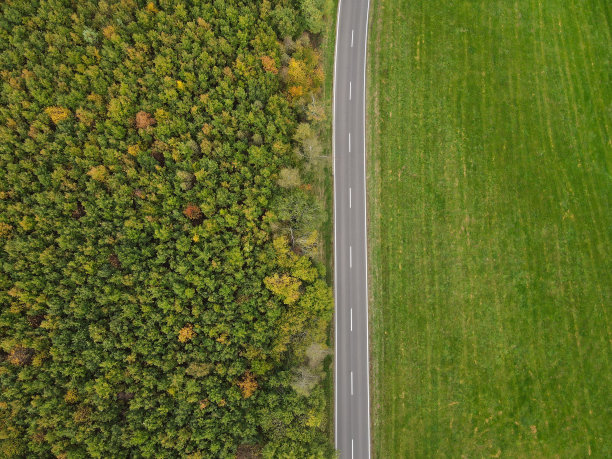这张照片拍摄于秋天树林和草地之间的乡村道路图片下载