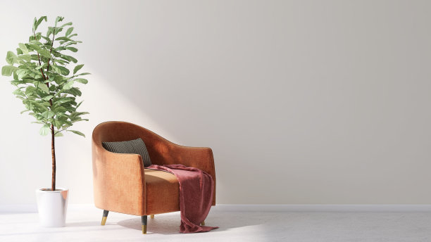 现代和豪华的橙色面料桶扶手椅与钢腿与坐垫和小提琴叶无花果树在锅在空白白墙房间水泥地板阳光从窗口图片下载