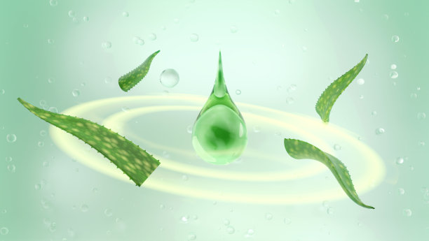 绿色滴芦荟凝胶与芦荟叶和泡沫图片下载