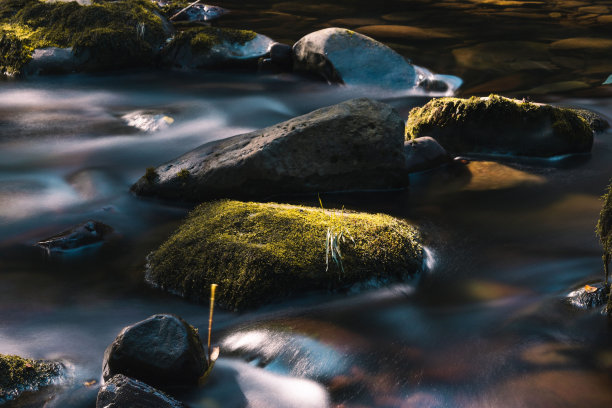 苔藓覆盖的岩石在浅浅的溪流中沐浴在斑驳的光中图片下载