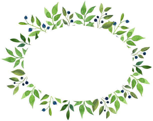 水彩手绘椭圆形框架与绿叶和蓝色浆果。非常适合用于邀请和卡片。图片下载