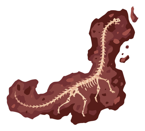 恐龙骨架骨、化石出土考古孤立。史前爬行动物的骨架躺在地下。古生物工件。考古发现图片下载