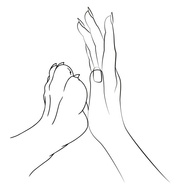 女人的手和狗的爪。友谊。插图图片下载