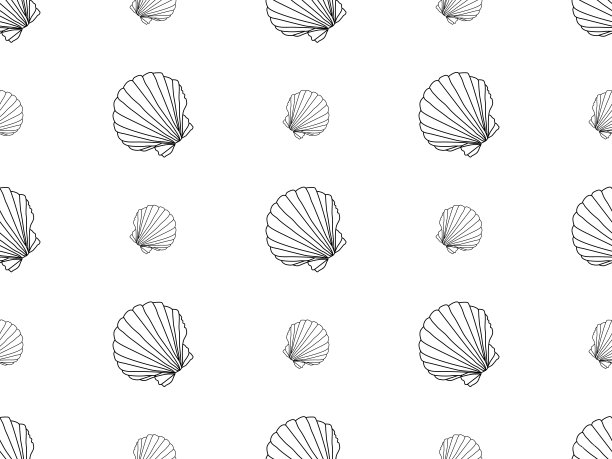 白色背景上的扇贝无缝图案图片下载