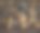 鹅卵石搁在钢筛上图片下载