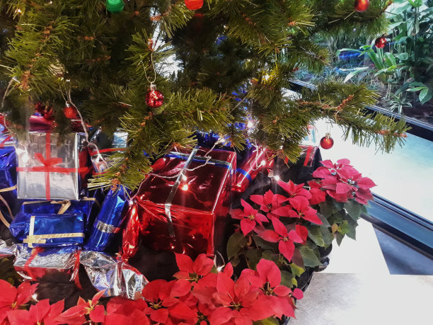 近距离概念复制空间松树装饰与雪和灯，星星，圣诞礼物和装饰植物的网页，模板，小册子，小册子，邀请和贺卡图片下载