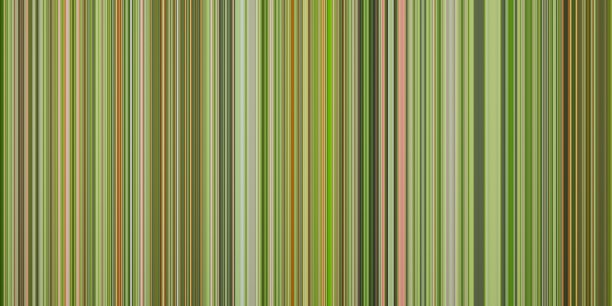 彩色绿色抽象垂直线背景。3D渲染插图。图片下载